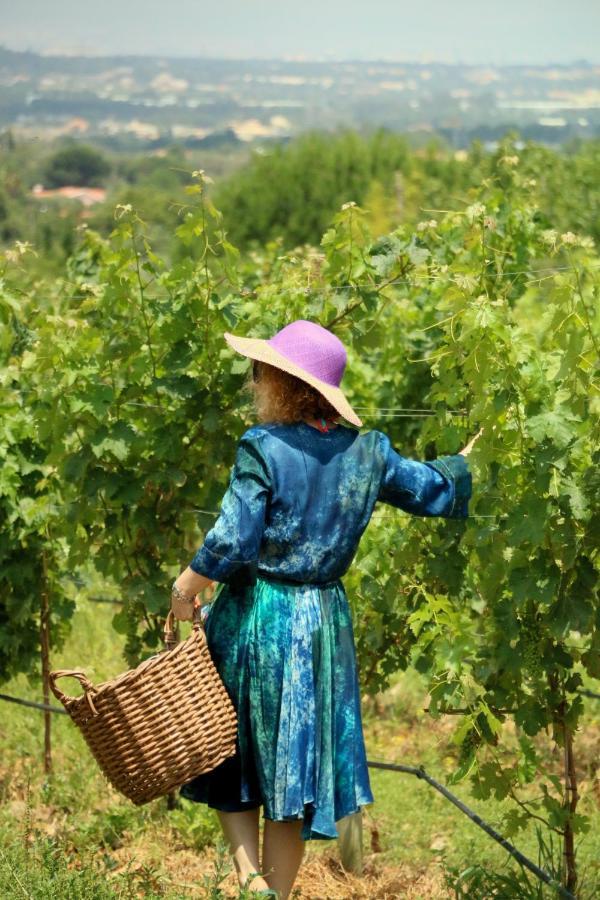 Вілла Quinta Da Chapeleira Em Азейтан Екстер'єр фото